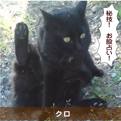 20151221_touko.jpg