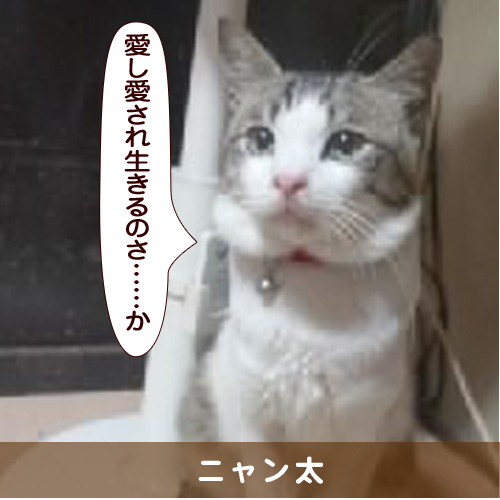 20151222_touko.jpg