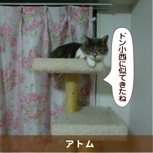 20151226_touko.jpg