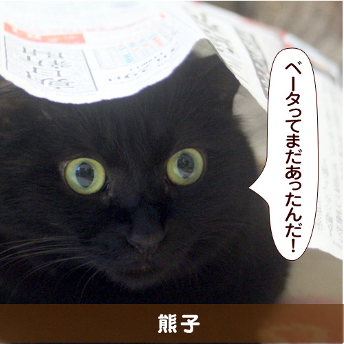 20151227_touko.jpg