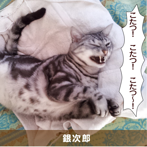 20151228_touko.jpg