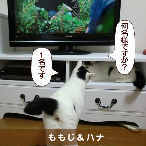 20151230_touko.jpg