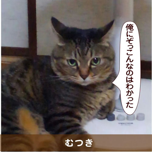 20151231_touko.jpg