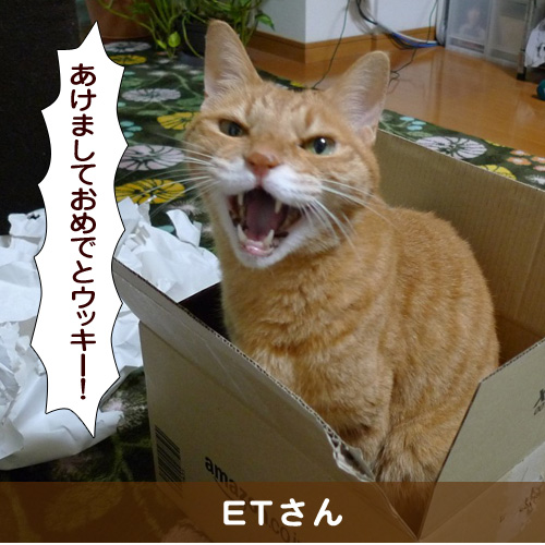 20160101_touko.jpg