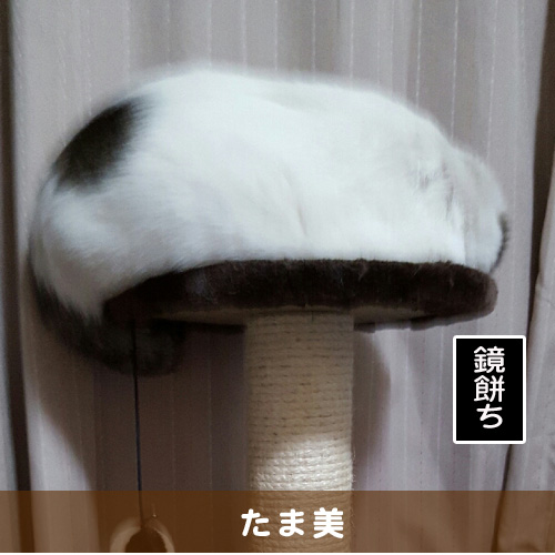 20160102_touko.jpg