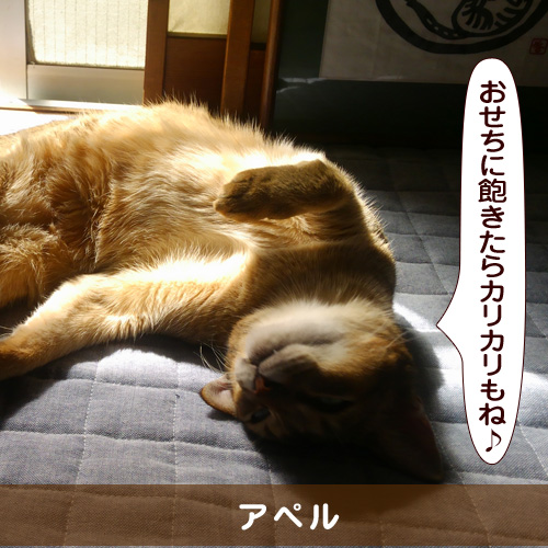 20160103_touko.jpg