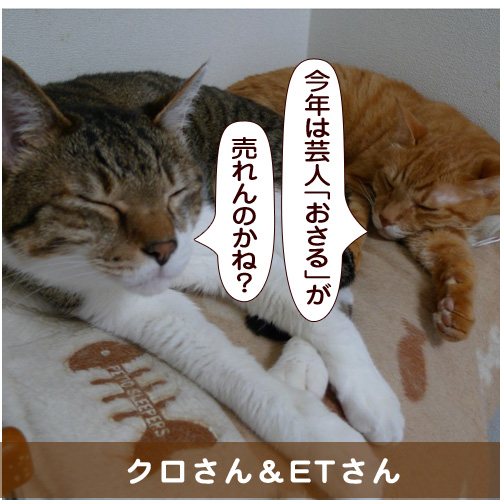 20160104_touko.jpg