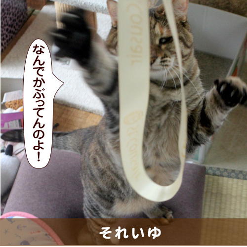 20160106_touko.jpg