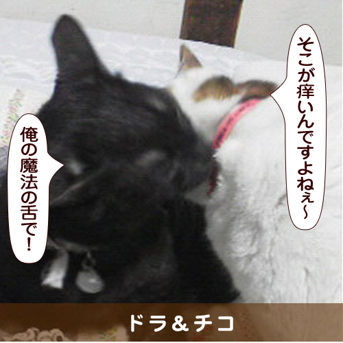 20160107_touko.jpg
