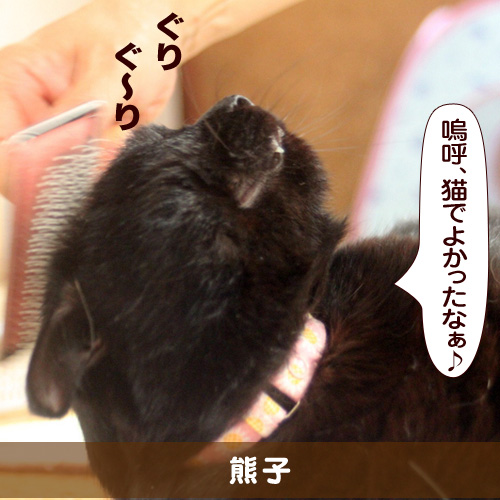 20160112_touko.jpg