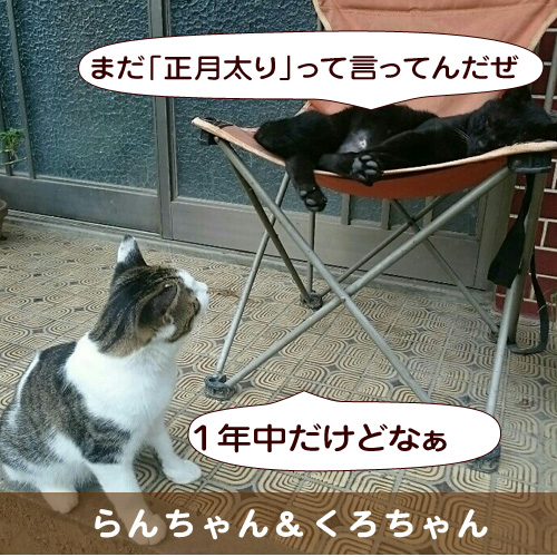 20160114_touko.jpg