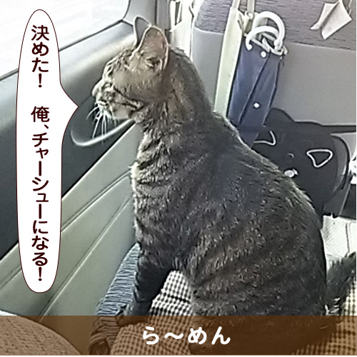 20160115_touko.jpg