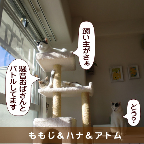 20160116_touko.jpg