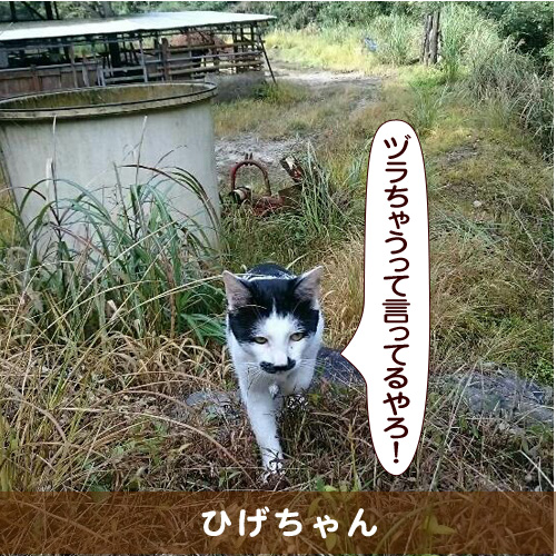 20160120_touko.jpg