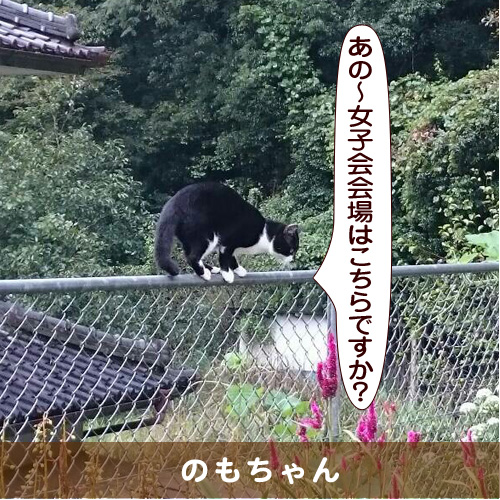 20160123_touko.jpg