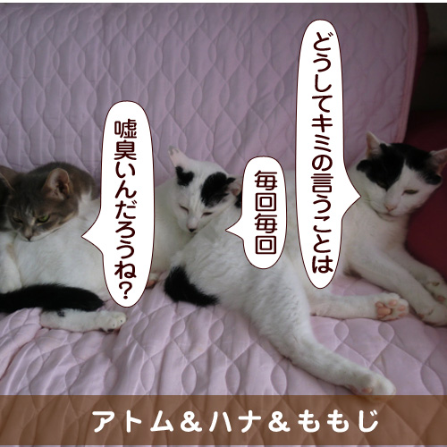 20160124_touko.jpg