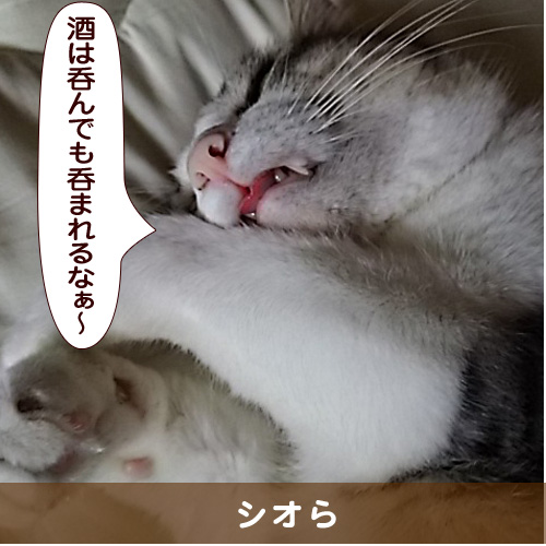 20160127_touko.jpg