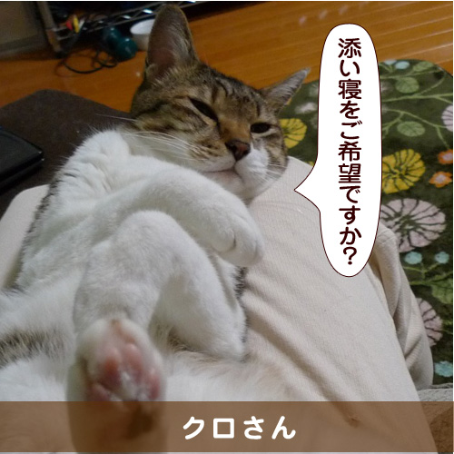 20160129_touko.jpg