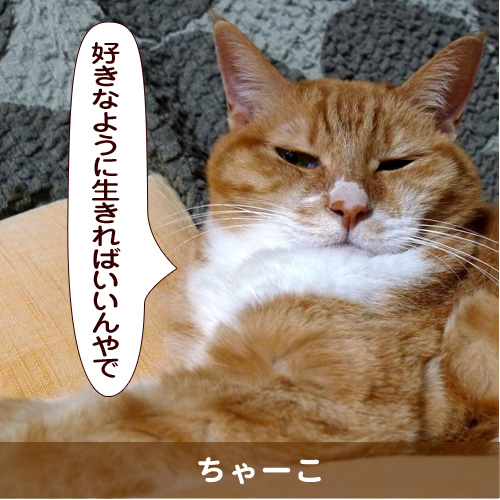 20160208_touko.jpg