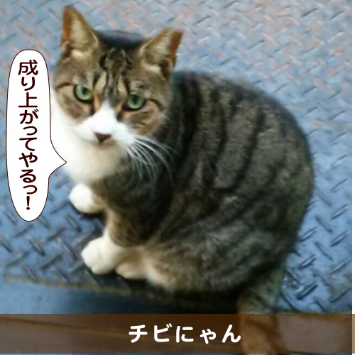 20160209_touko.jpg