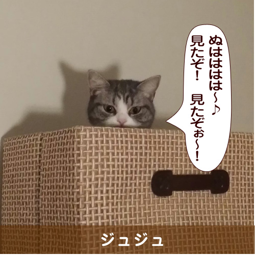20160211_touko.jpg