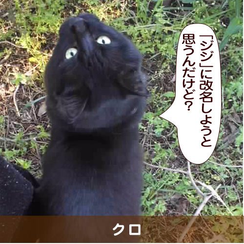 20160212_touko.jpg