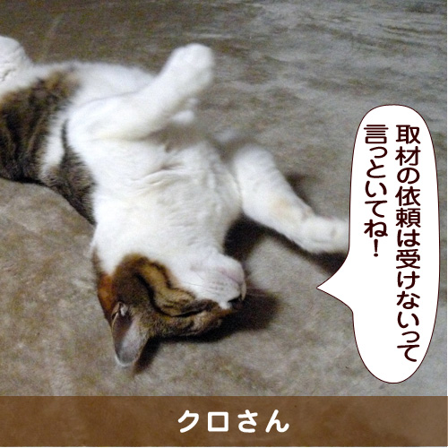 20160213_touko.jpg