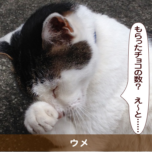 20160214_touko.jpg