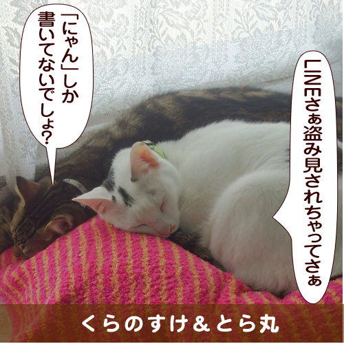 20160216_touko.jpg