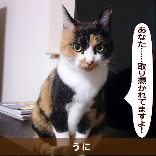 20160217_touko.jpg