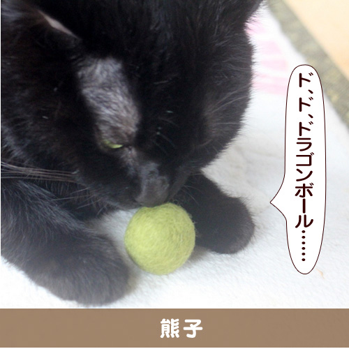 20160219_touko.jpg