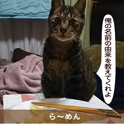 20160220_touko.jpg