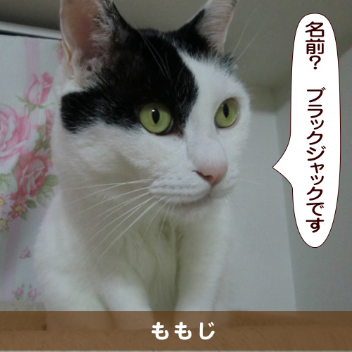 20160221_touko.jpg