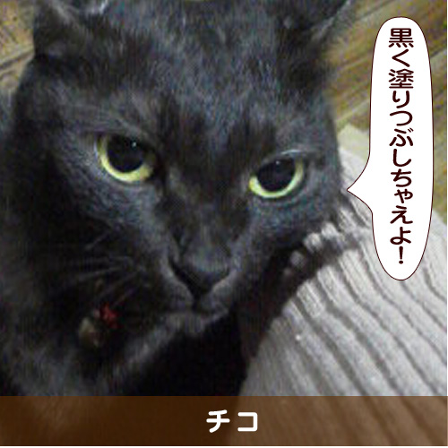20160222_touko.jpg