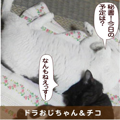 20160224_touko.jpg