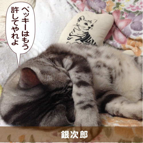 20160225_touko.jpg