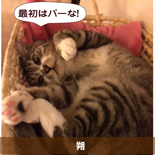 20160227_touko.jpg