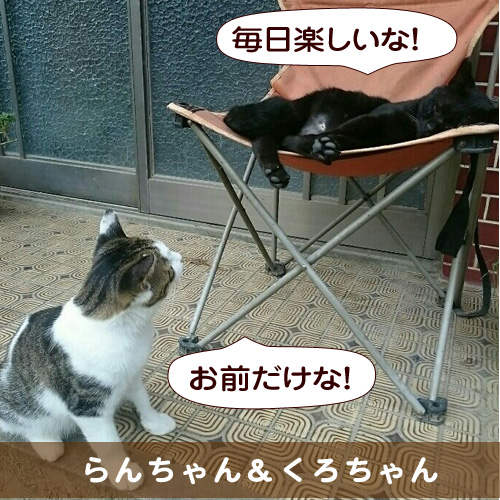 20160228_touko.jpg