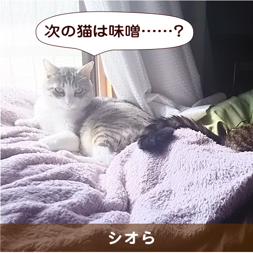 20160229_touko.jpg