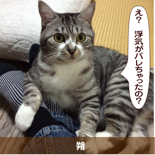 20160302_touko.jpg