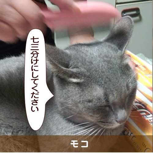 20160304_touko.jpg