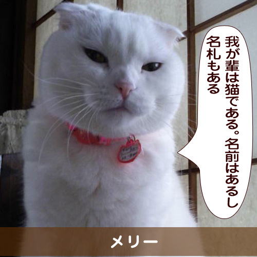 20160305_touko.jpg