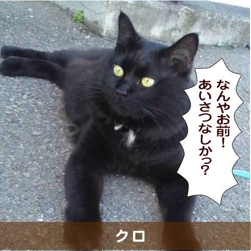 20160307_touko.jpg