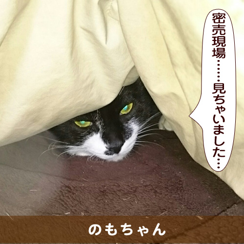 20160308_touko.jpg