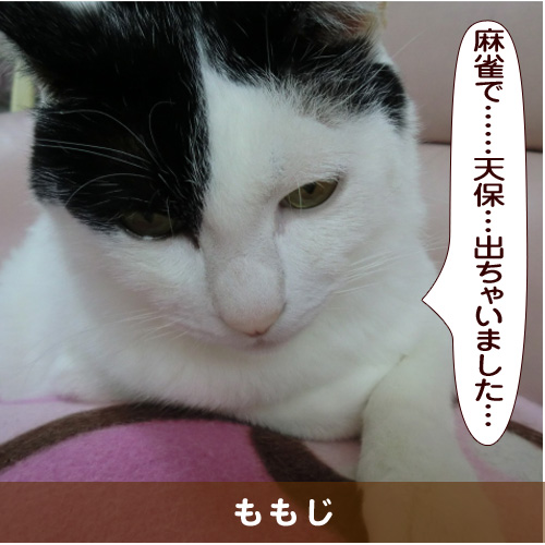 20160309_touko.jpg