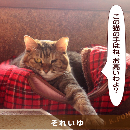 20160311_touko.jpg