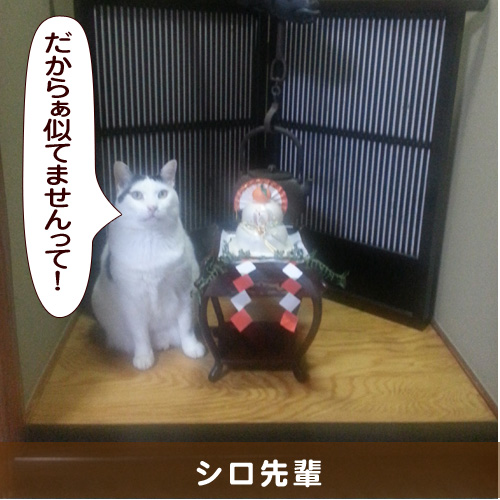 20160312_touko.jpg