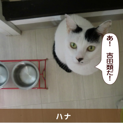 20160313_touko.jpg