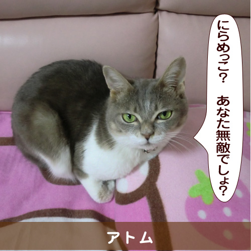 20160315_touko.jpg