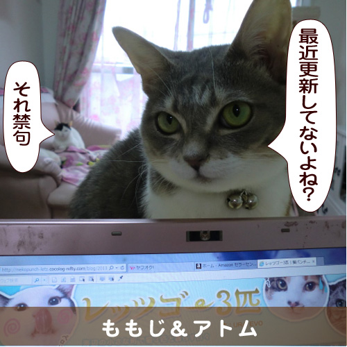 20160316_touko.jpg